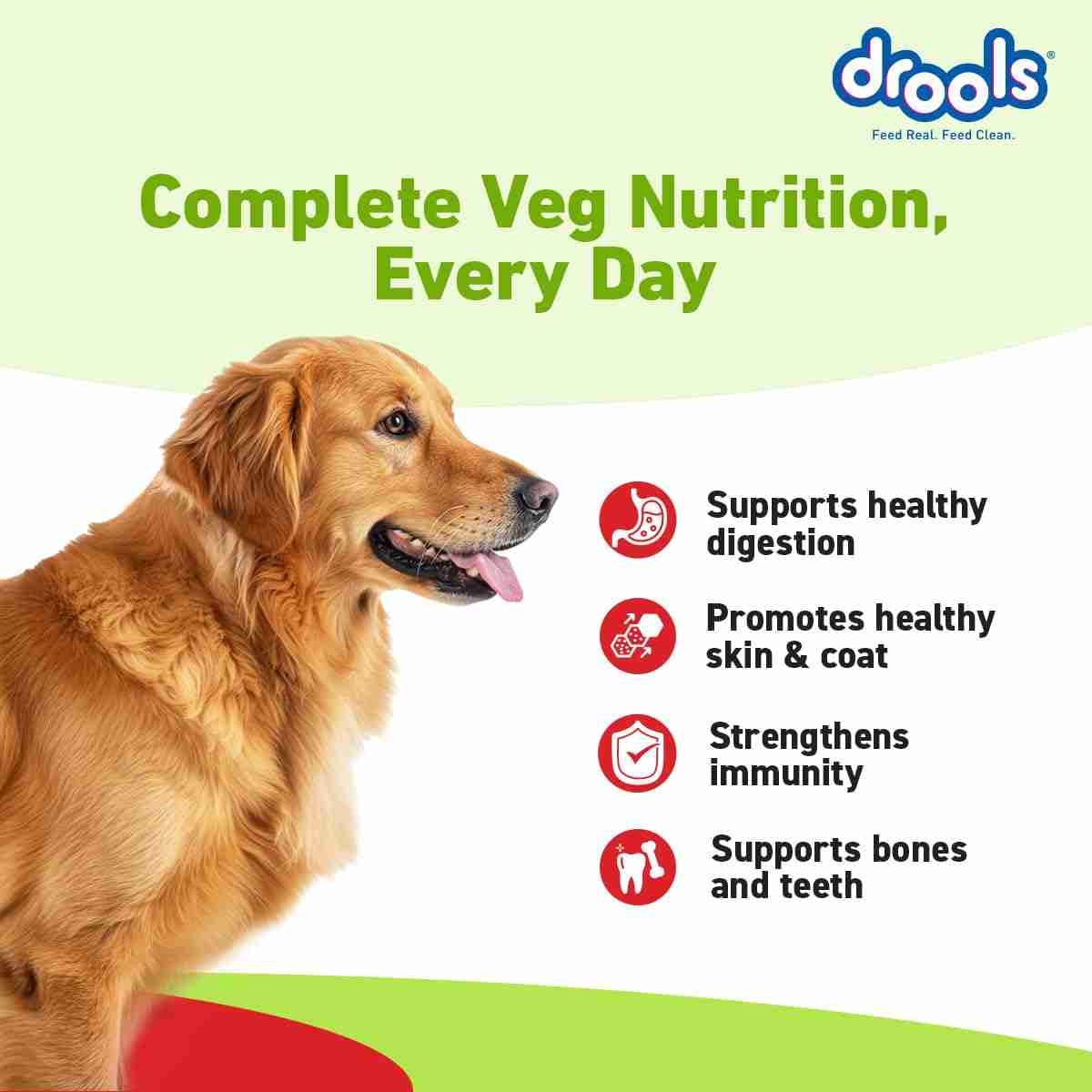 Drools Vegetarian Puppy and Adult Dog Veg Dry Food