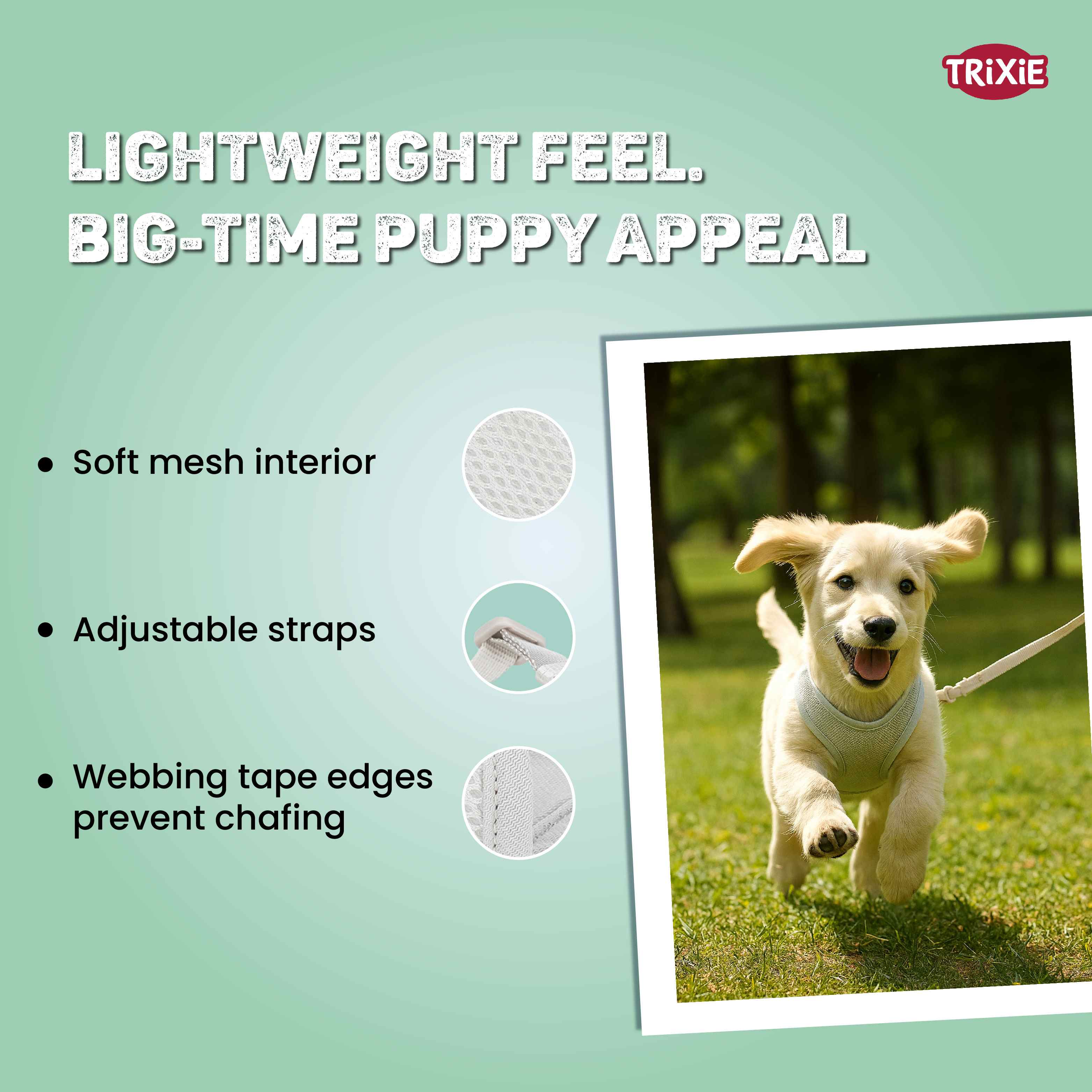 Trixie Junior Puppy Soft Harness with Leash (S–M: 26–34 cm/10 mm, 2.00 m, Light Grey)
