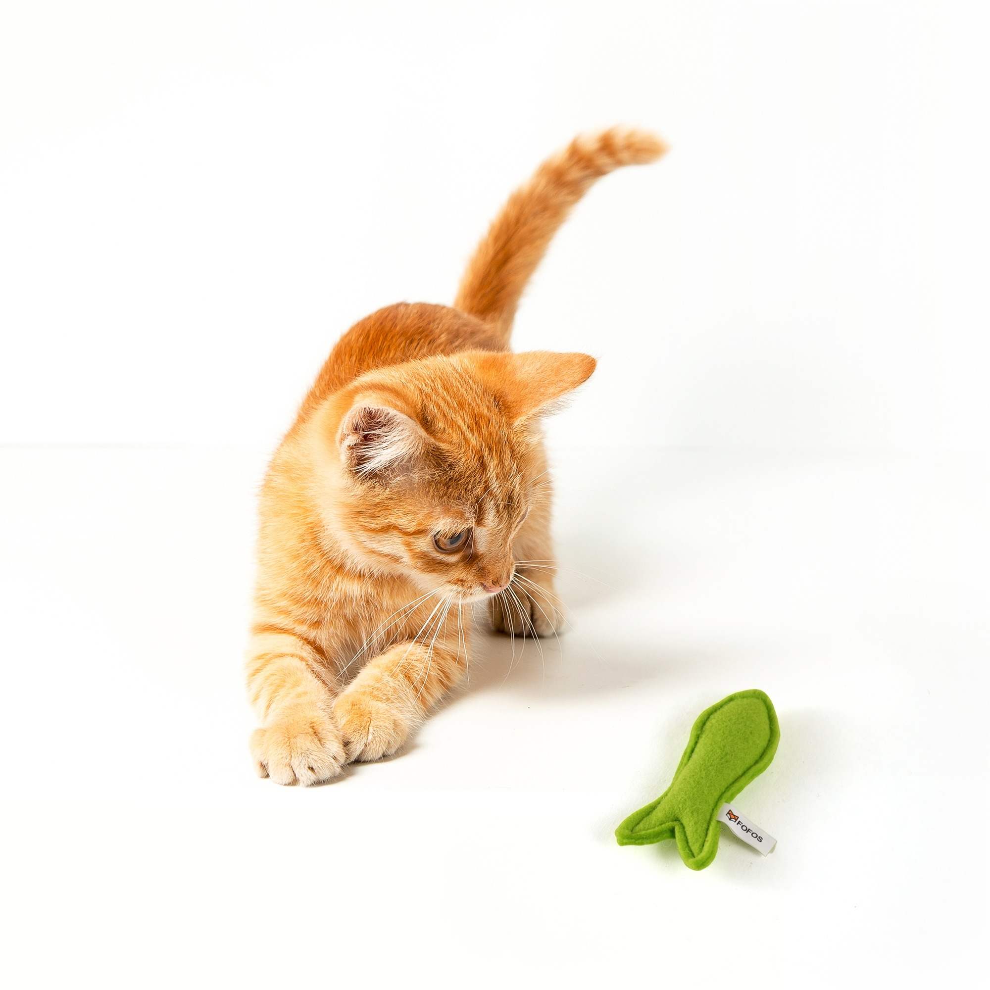 Barkbutler Fofos Felt Fish Cat Toy Box, 1 Pcs