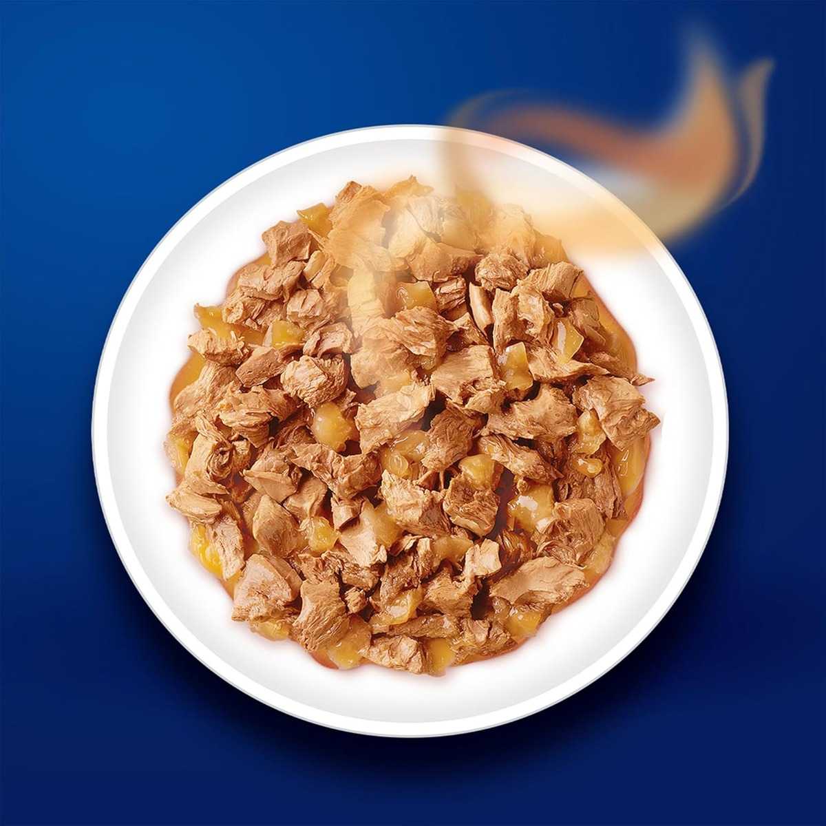 Purina Felix Salmon in Jelly Wet Cat Food - 85gm