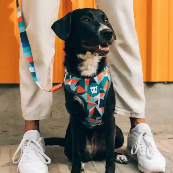 Zeedog Ella Air Mesh Plus Dog Harness