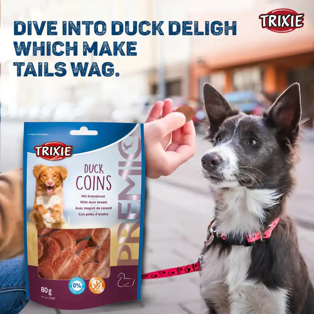 Trixie PREMIO Duck Coins Treat for Dog 80 g