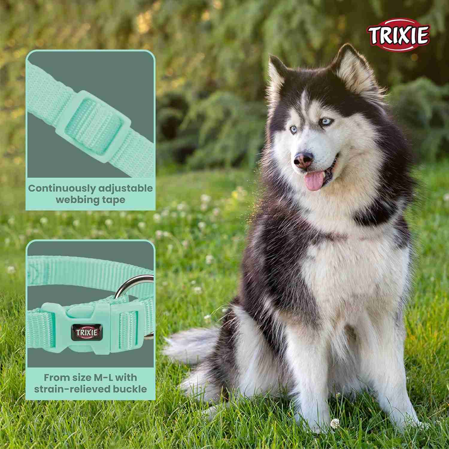 Trixie Premium Collar for Dog, Mint