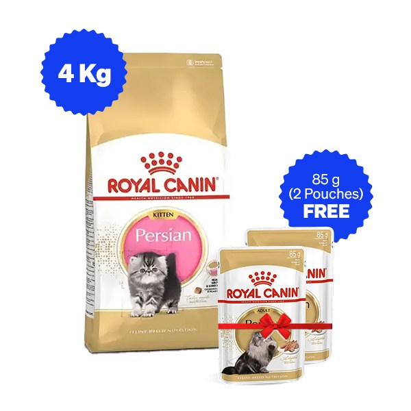 Royal Canin Persian Kitten Dry Cat Food with Free Gravy Pack