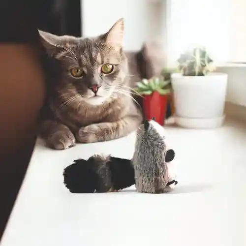 Barkbutler Fofos Floppy Crinkle Raccoon Catnip Toy for Cats