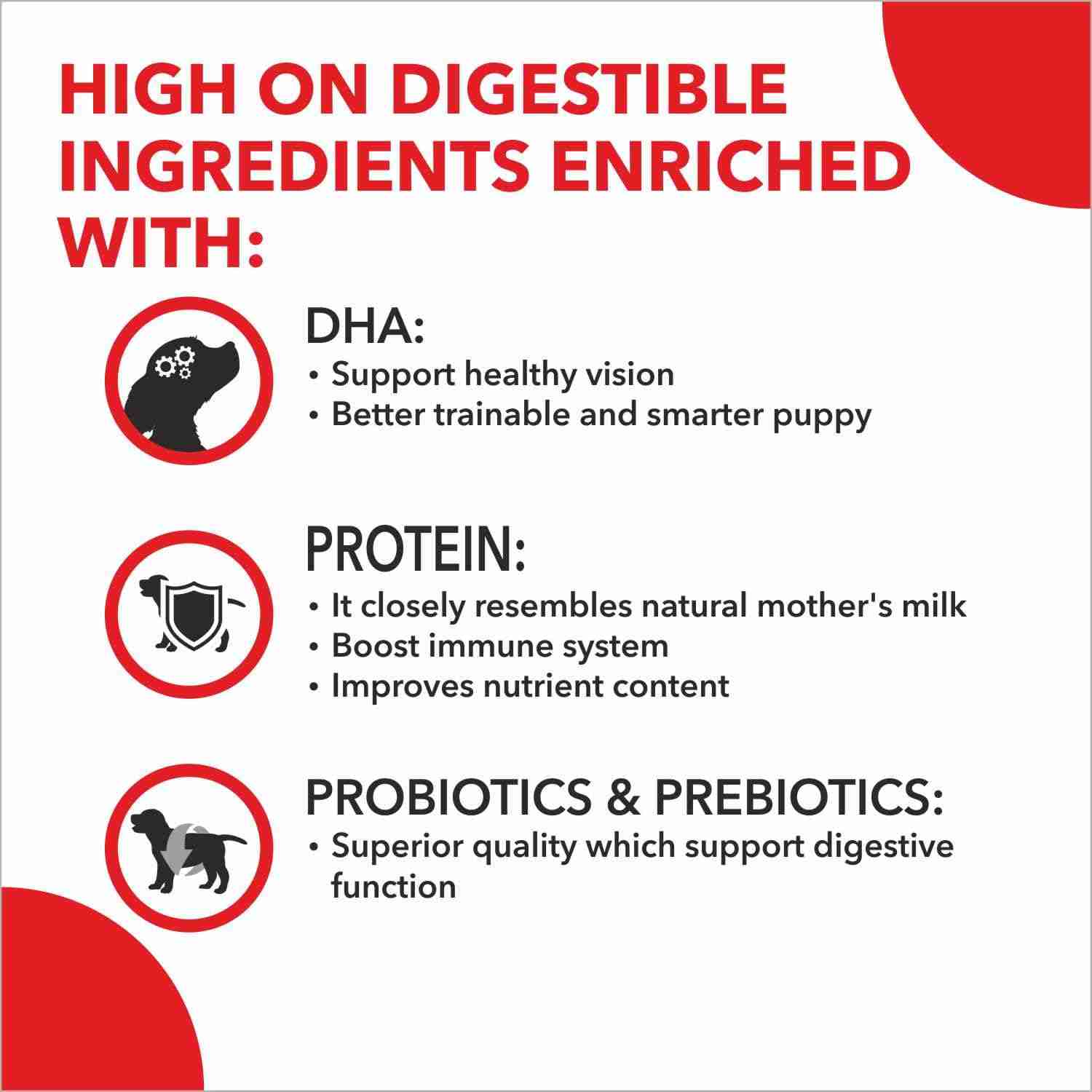 Drools Pup Booster for Dogs Weaning Diet, 300g