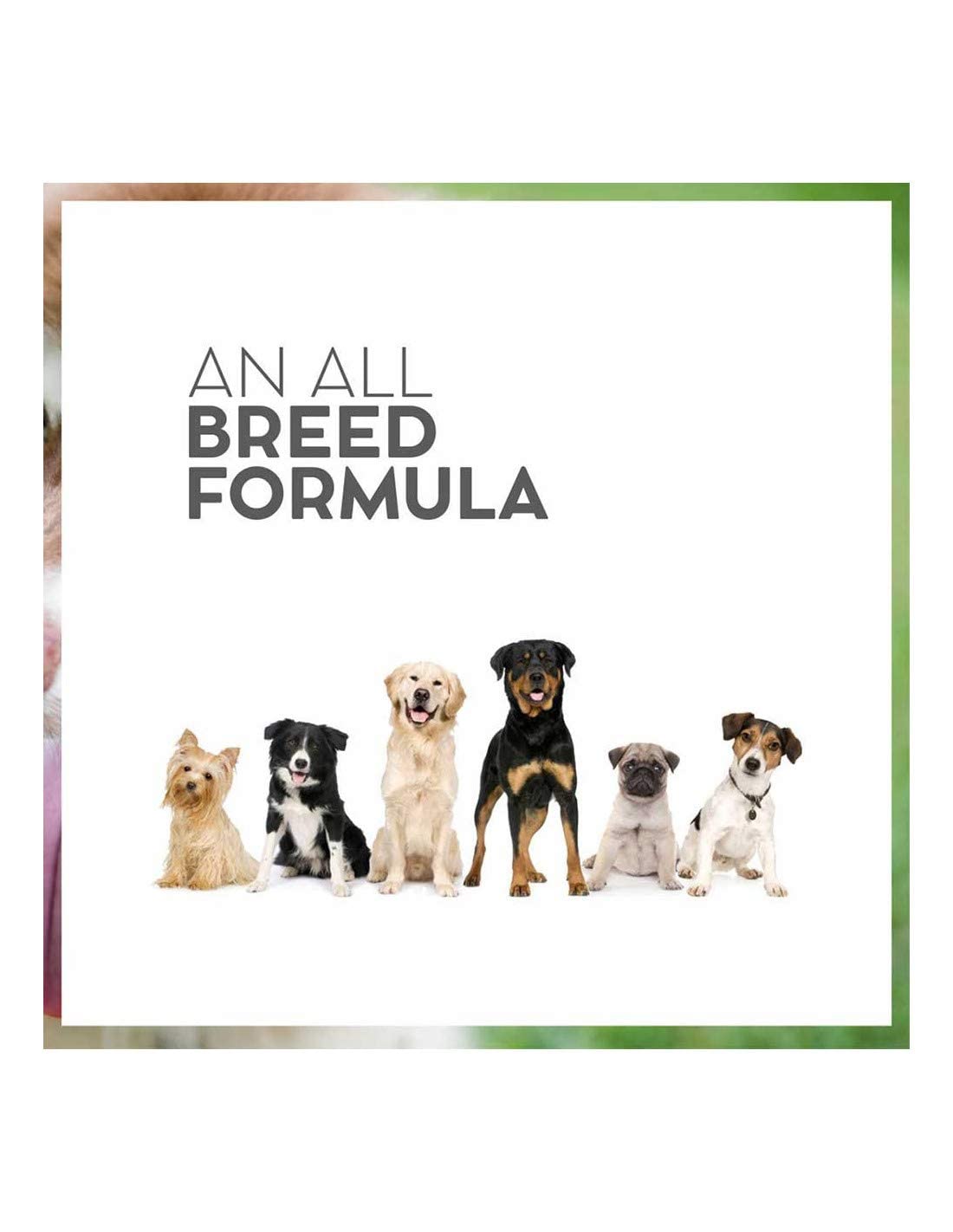 Drools VET PRO Hypoallergenic Adult Dog Dry Food