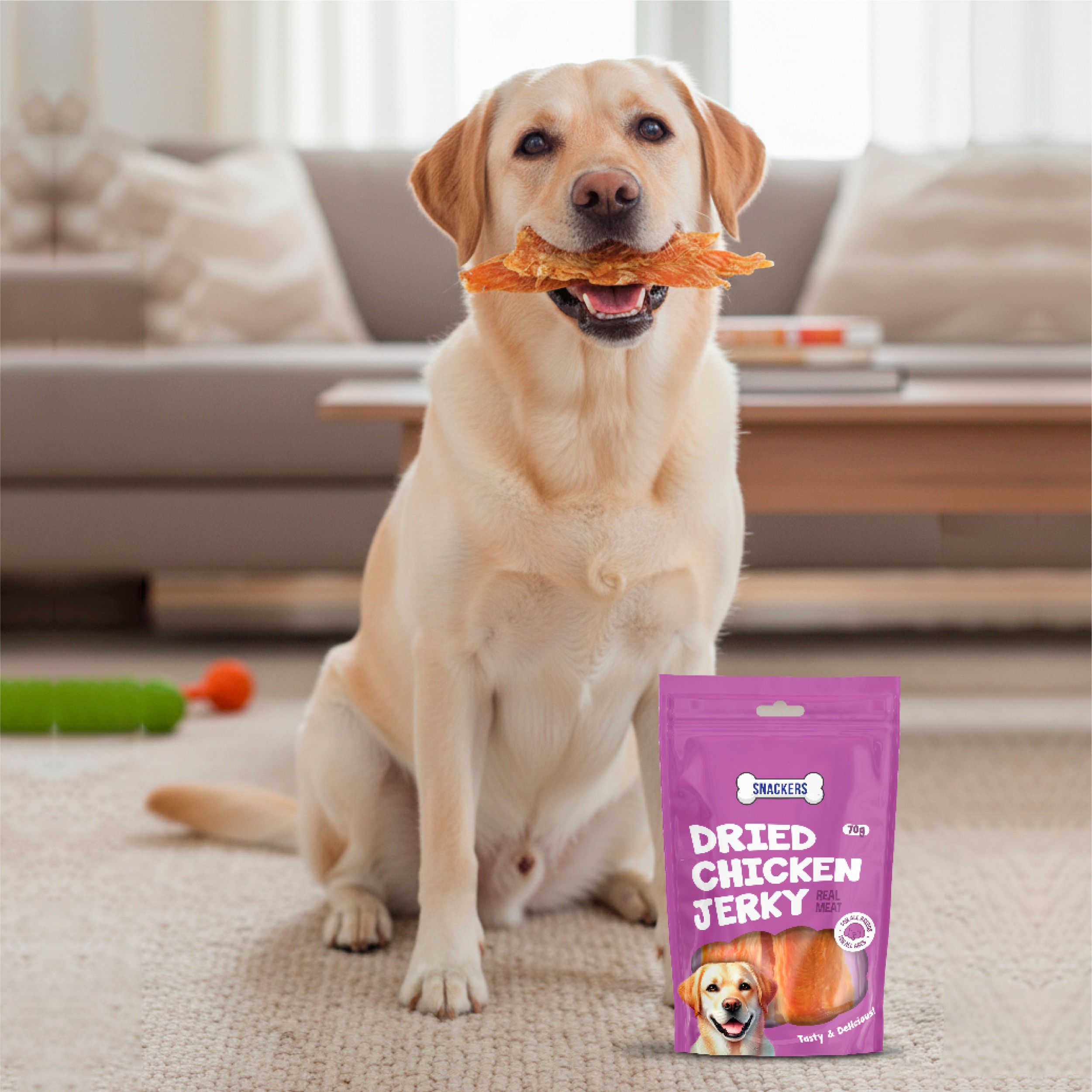 Snackers Dried Chicken Jerky 70G CL – (Best Before Dec’26)