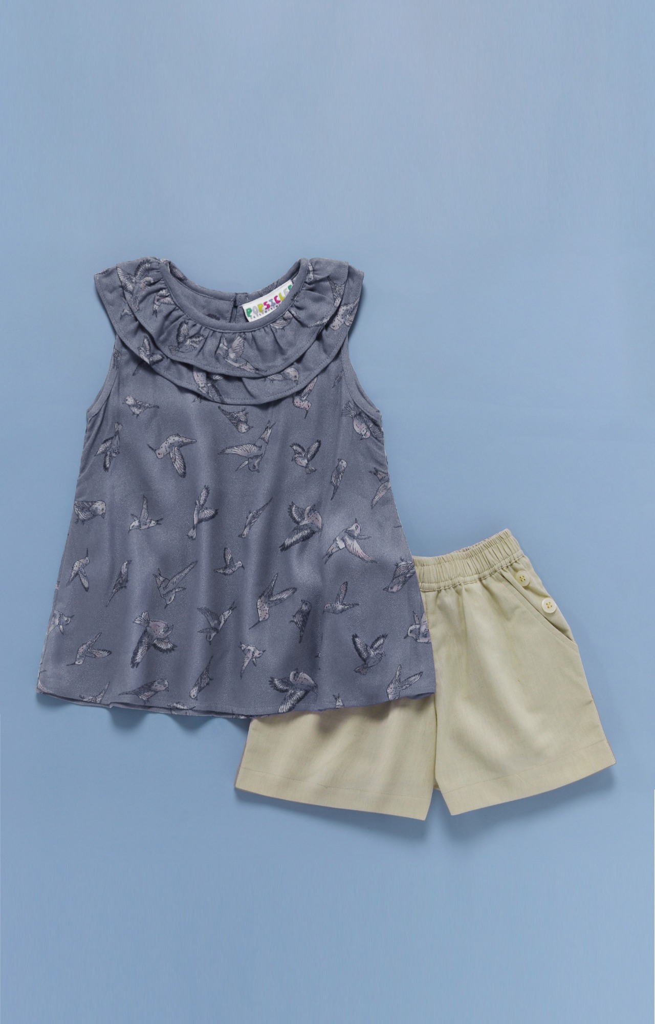 Popsicles Bird Flock Shorts Set Regular Fit Dress For Girl