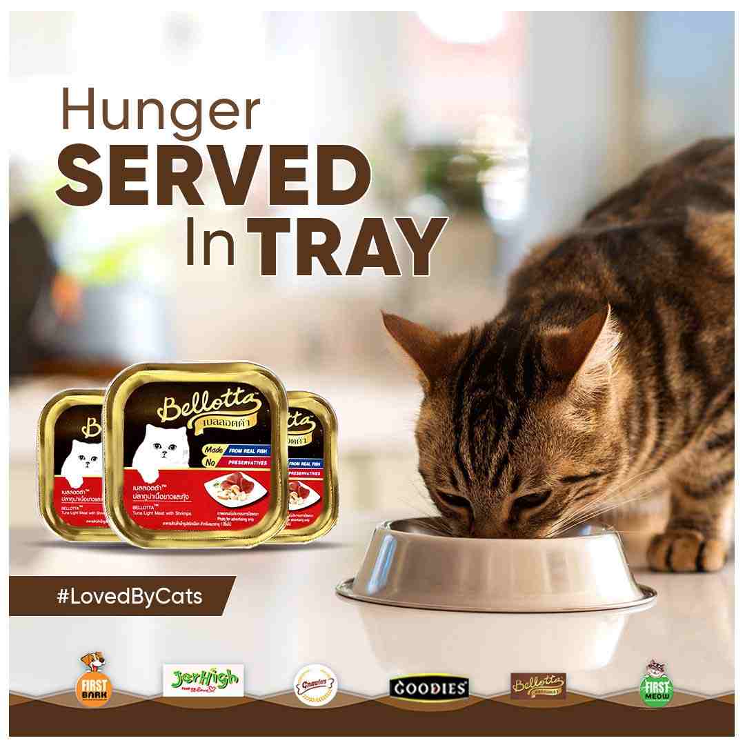 Bellota Tuna Light Meat with Shrimp Wet Cat Food Tray, 80g