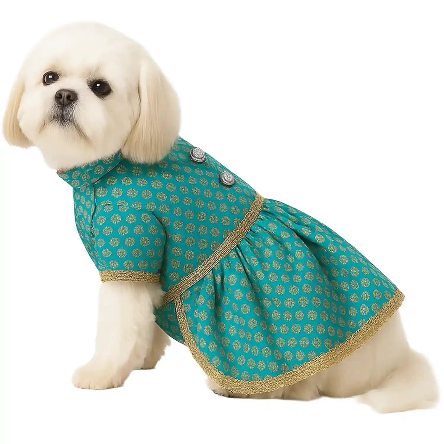 Pawsindia Traditional Royal Brocade Dress for Dogs - Aqua Green | Ethnic Festive Wear