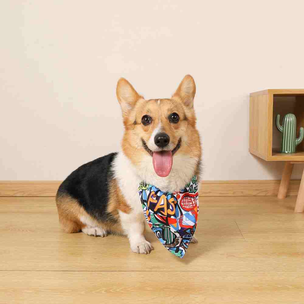 M-Pets Urban Style Freestyle Bandana Collar for Dogs, Small