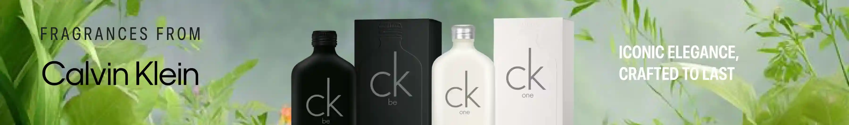 Brand Banner