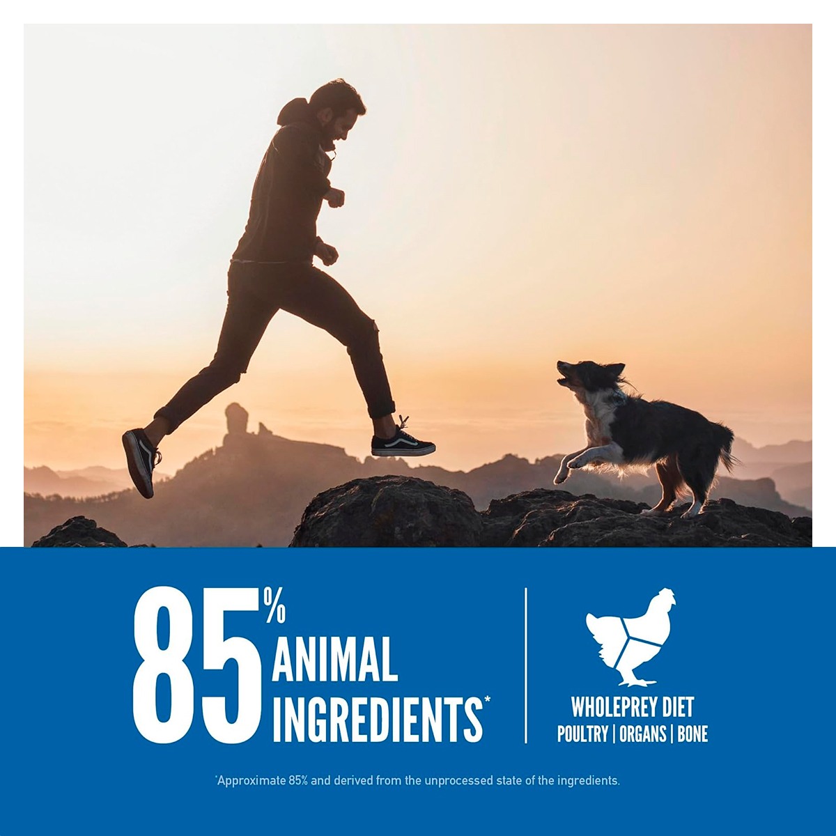Orijen Original Dry Dog Food For All Life Stages