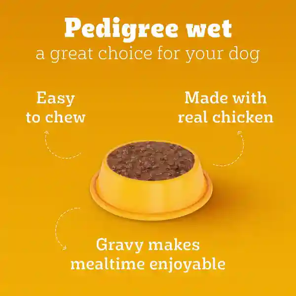 Pedigree Chicken & Liver Chunks in Gravy Puppy Wet Dog Food, 350g