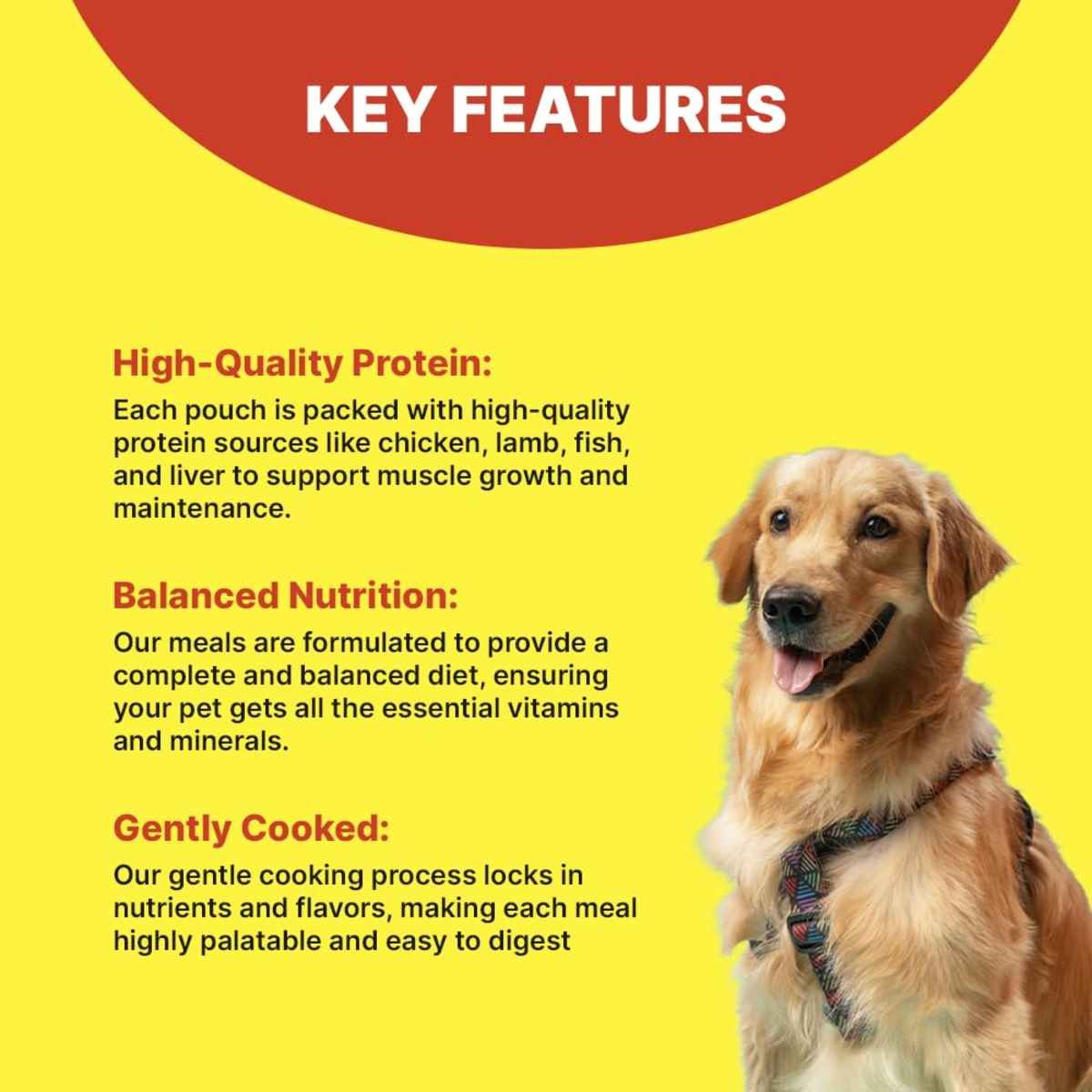 Gobble Gently Cooked Chicken With Rice Wet Dog Food - 300gm