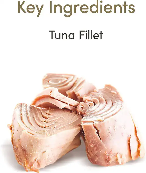 Applaws Kitten Tuna in Jelly Can Cat Wet Food for Cat, 70g