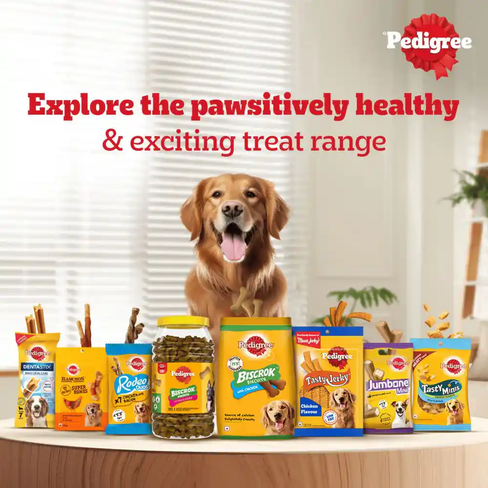 Pedigree Lamb Flavour (4+ Months) Biscrok Biscuits Jar Treats for Dogs