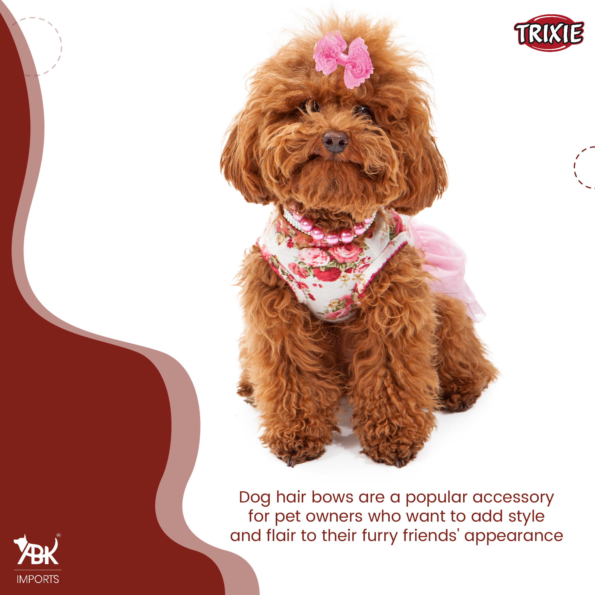 Trixie Assortment Dog Hair Bows Set of 10 Pcs