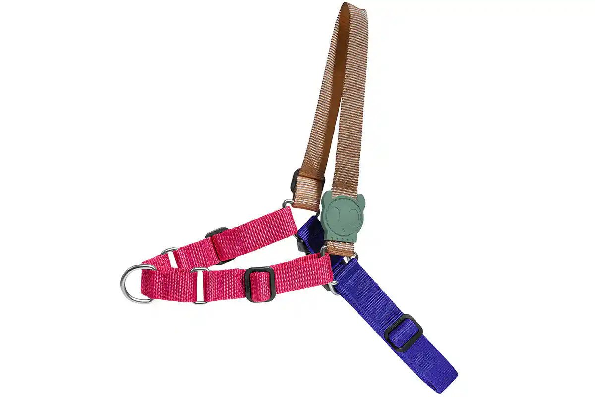 Zee.Dog Yucca Softwalk Harness for Dogs