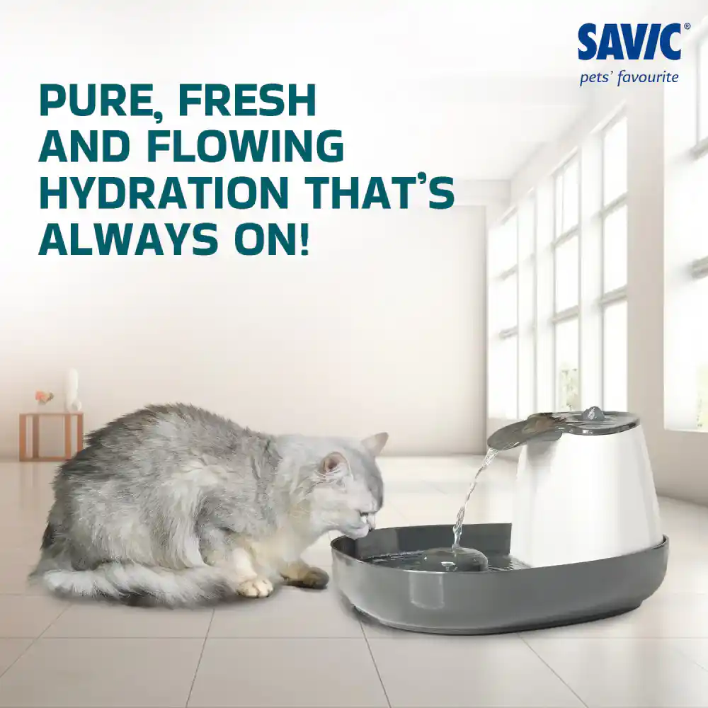 Savic Cascade White Anthracite Cat Water Fountain