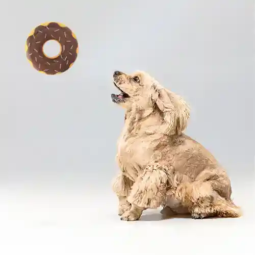 Zippy Paws Zippy Chocolate Tuff Donutz Plush Toy for Dogs