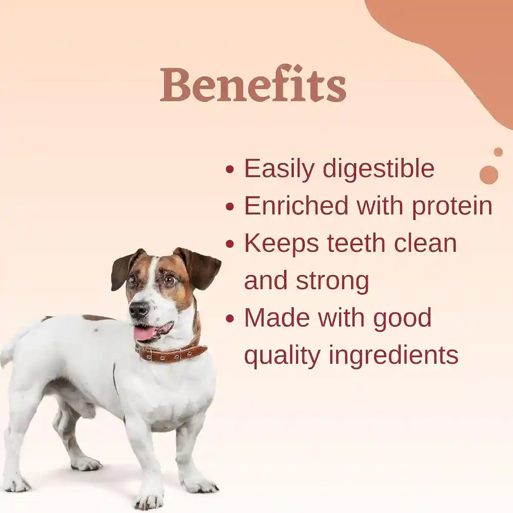 Superbone Chicken Knotted Dog Treat 7-in-1 Salmon Oil