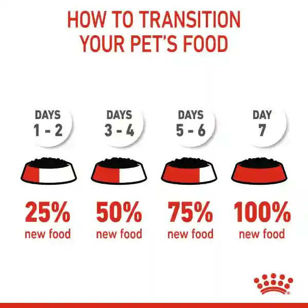 Royal Canin Mother & Baby Cat Dry Cat Food