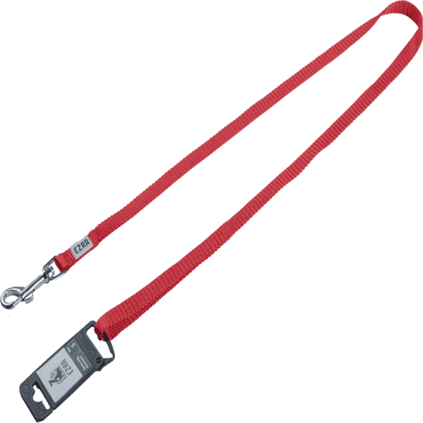 Ezra Classic Dog Leash - Red