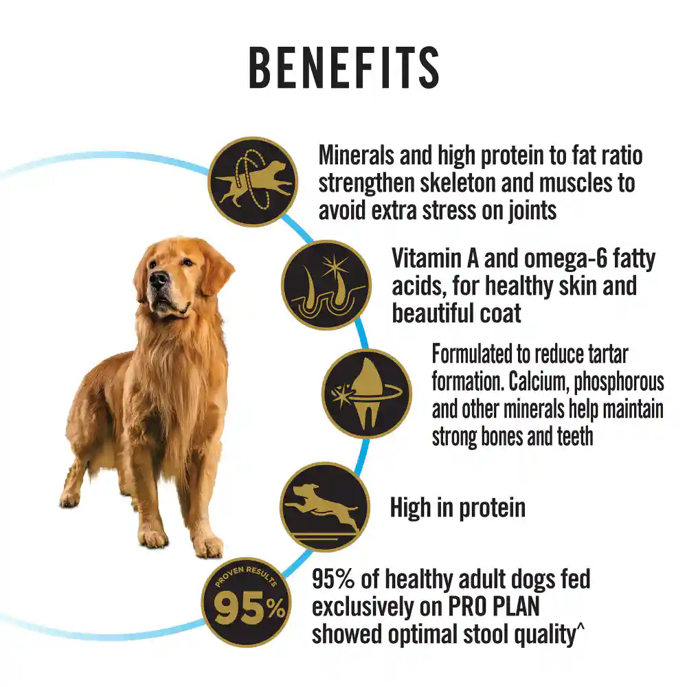 PURINA PRO PLAN Adult Large Breed Dry Dog Food