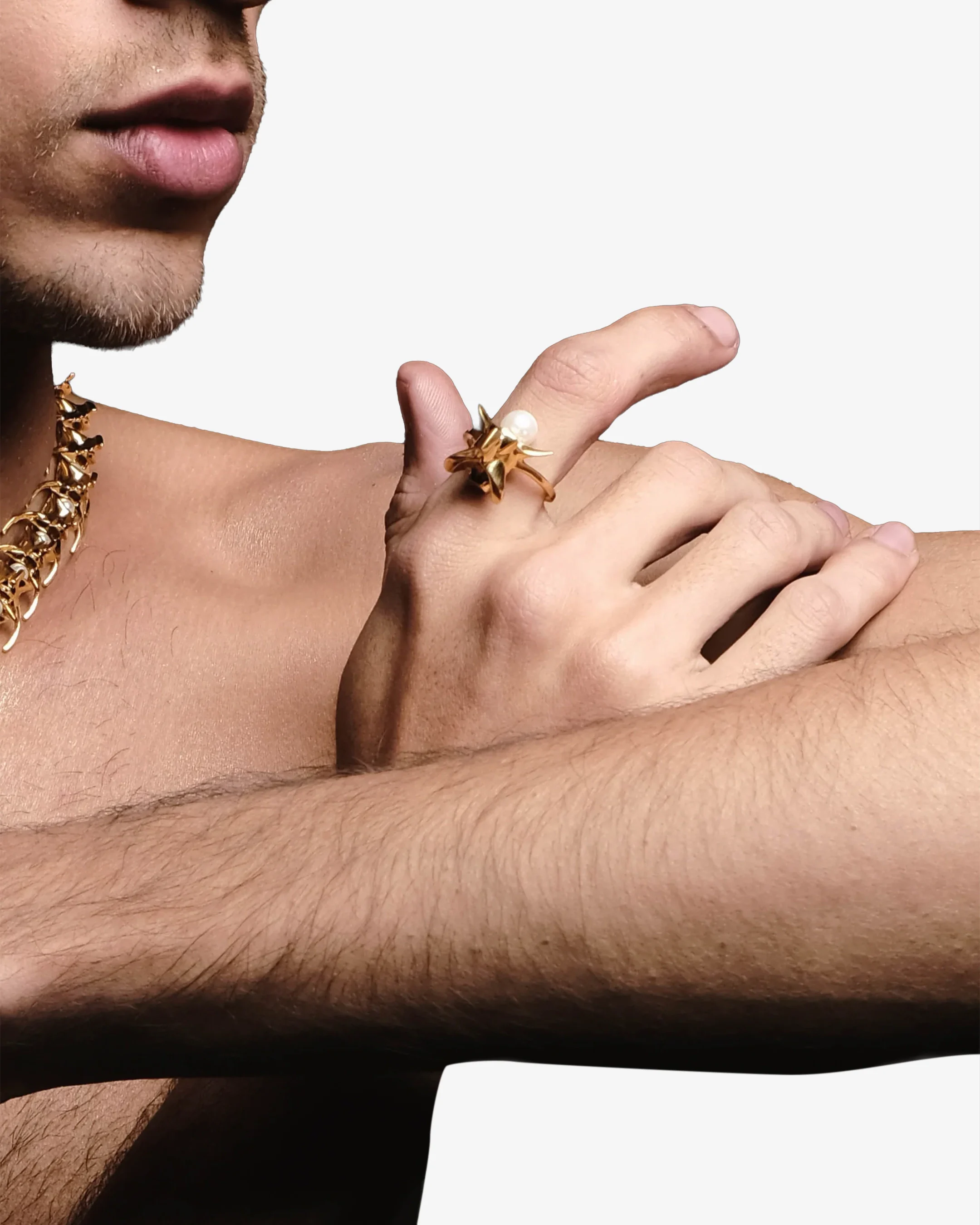 Python Ring