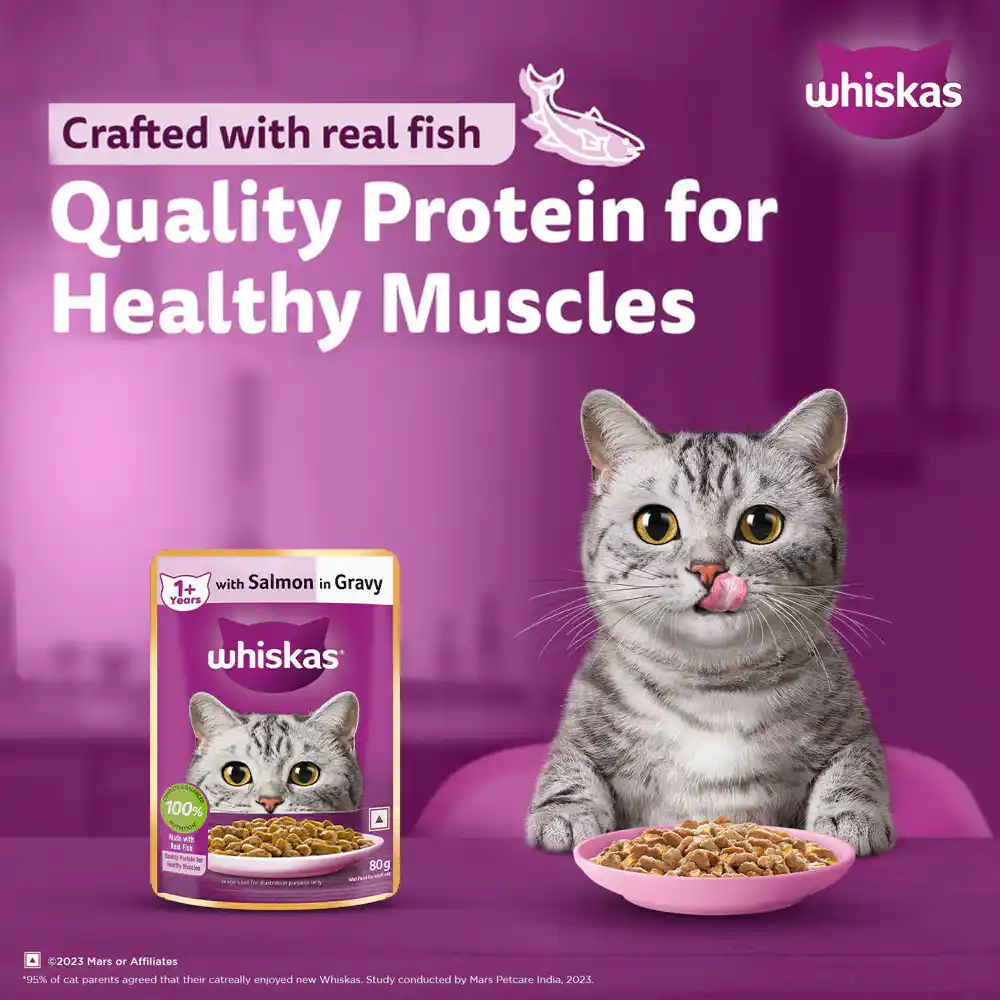 Whiskas Adult Salmon With Gravy 85 Gm – (Best Before Jan’26)