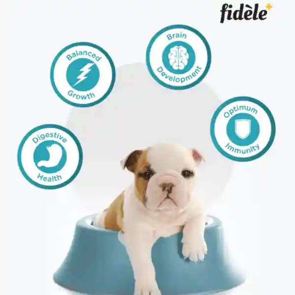 Fidèle All Breeds Starter Puppy Food