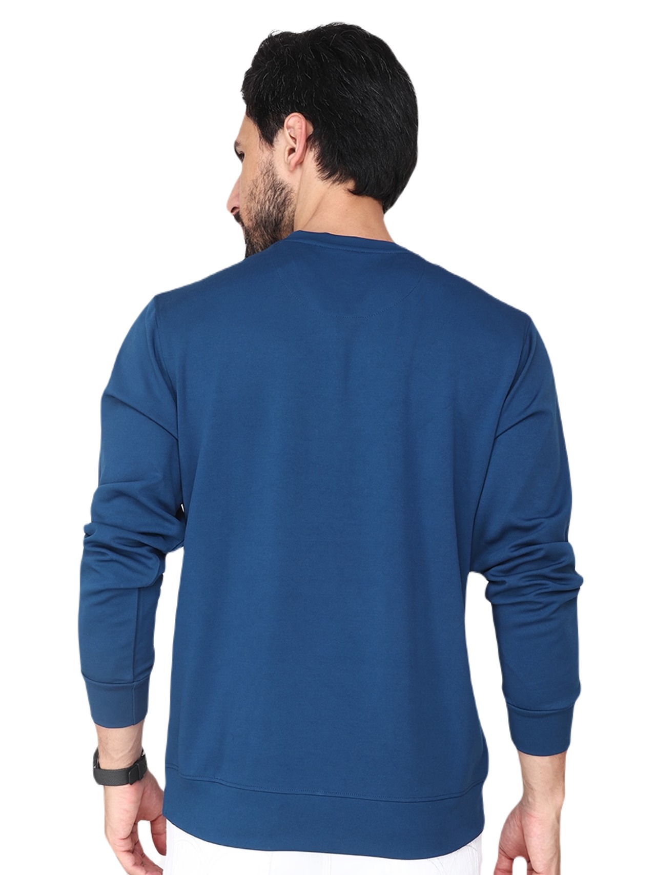Albion Mens Casual Full Sleeve Sewatshirt