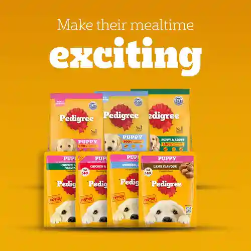 Pedigree Chicken & Liver Chunks In Gravy Puppy Wet Food, 130g