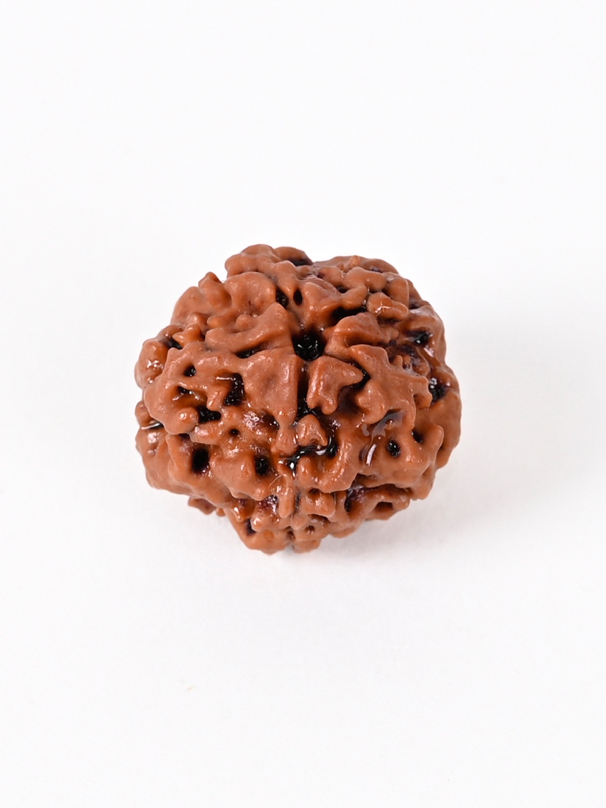 Shiv Ratan Kendra 1 Mukhi Nepal Quality Rudraksha Beads - Spiritual & Financial Gain I Genuine Quality-100% Natural