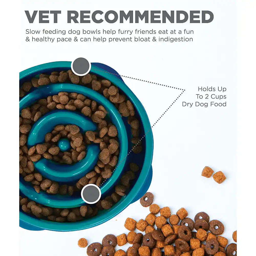 Outward Hound Mini Breed Slow Feeder Dog Bowl