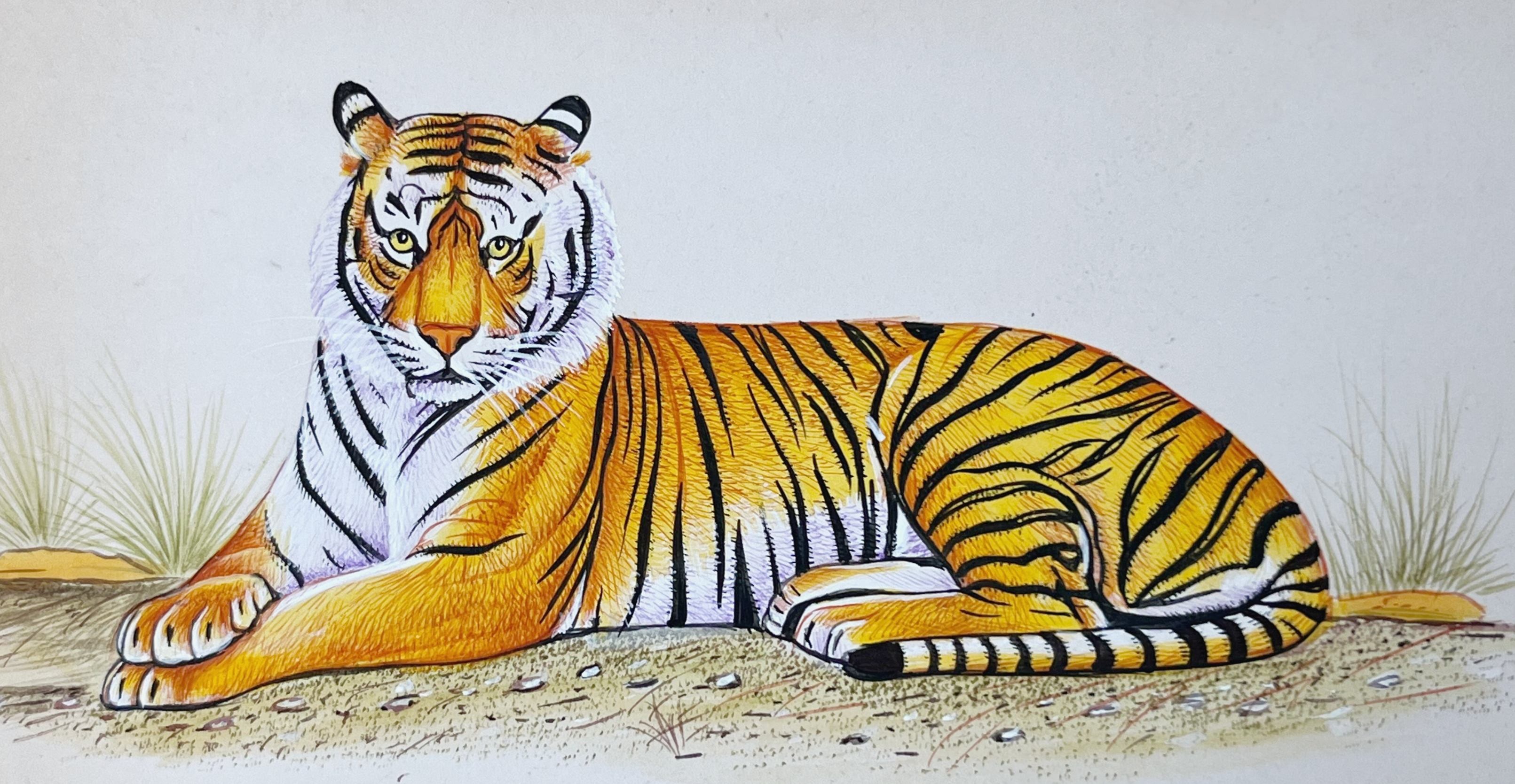 Realistic Tiger Miniature Painting