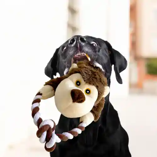 Barkbutler Knotty The Bear Plush Toy for Dogs 36X8 CM
