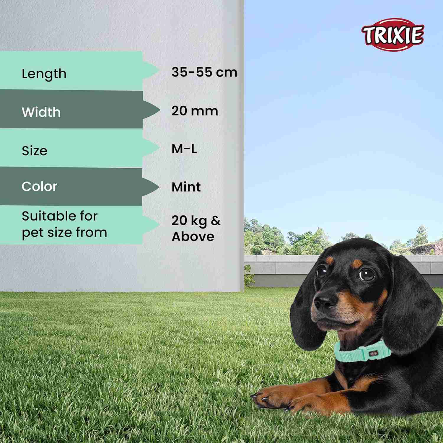 Trixie Premium Collar for Dog, Mint