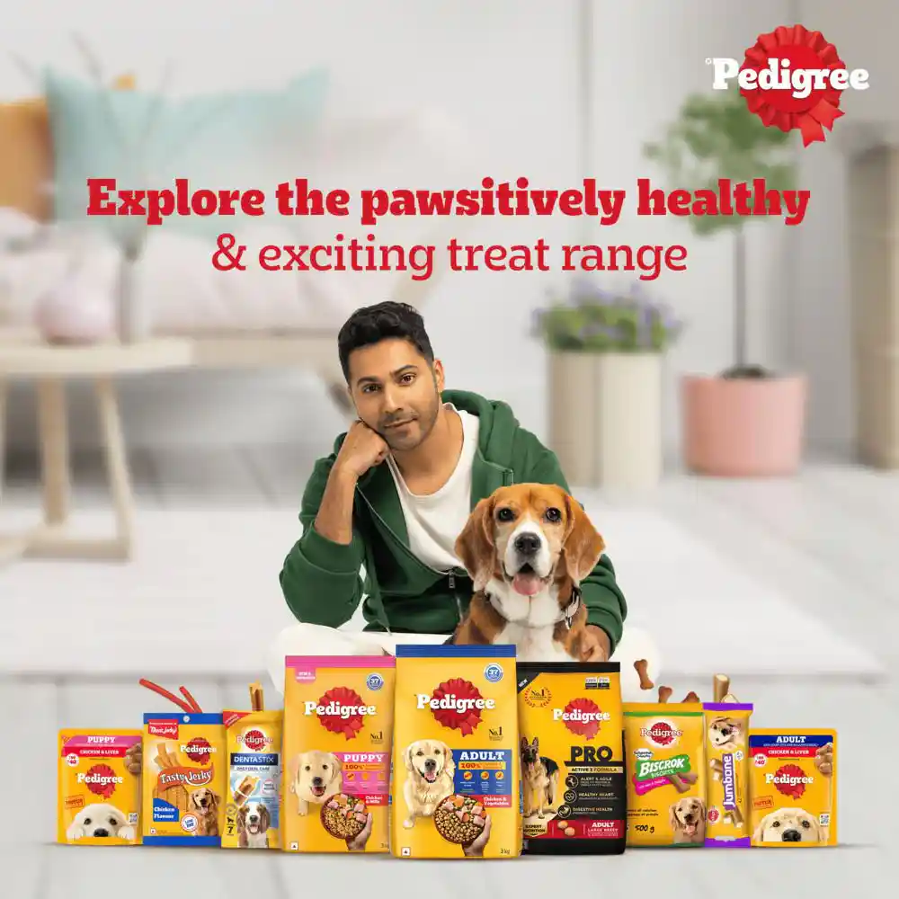 Pedigree Lamb Flavour (4+ Months) Biscrok Biscuits Jar Treats for Dogs