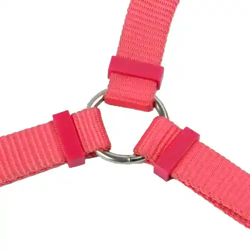 Trixie Premium H Harness for Dogs, Coral