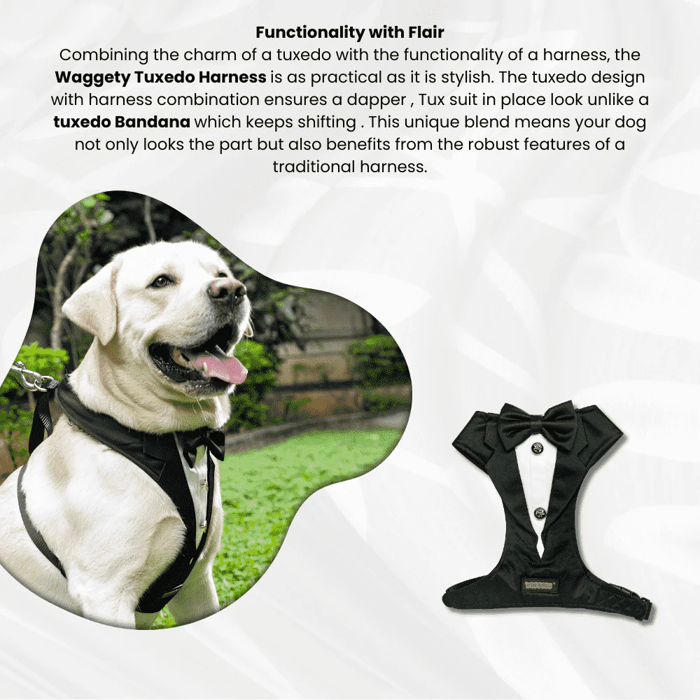 Waggety Tuxedo Dog Harness, (Black & White)