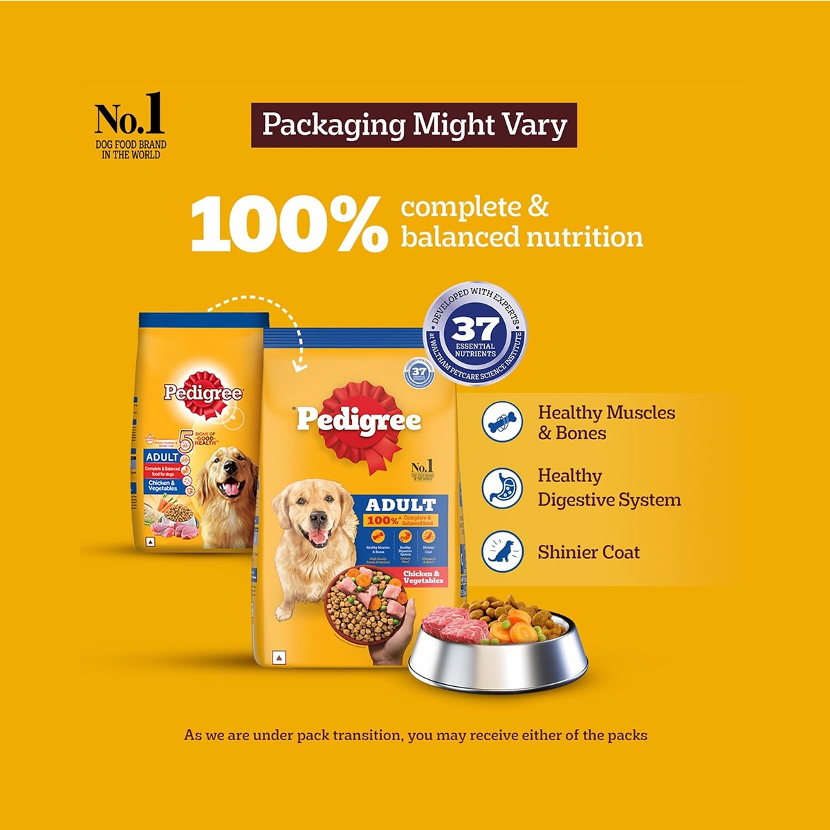 Pedigree Adult Chicken & Vegetables Dry Dog Food
