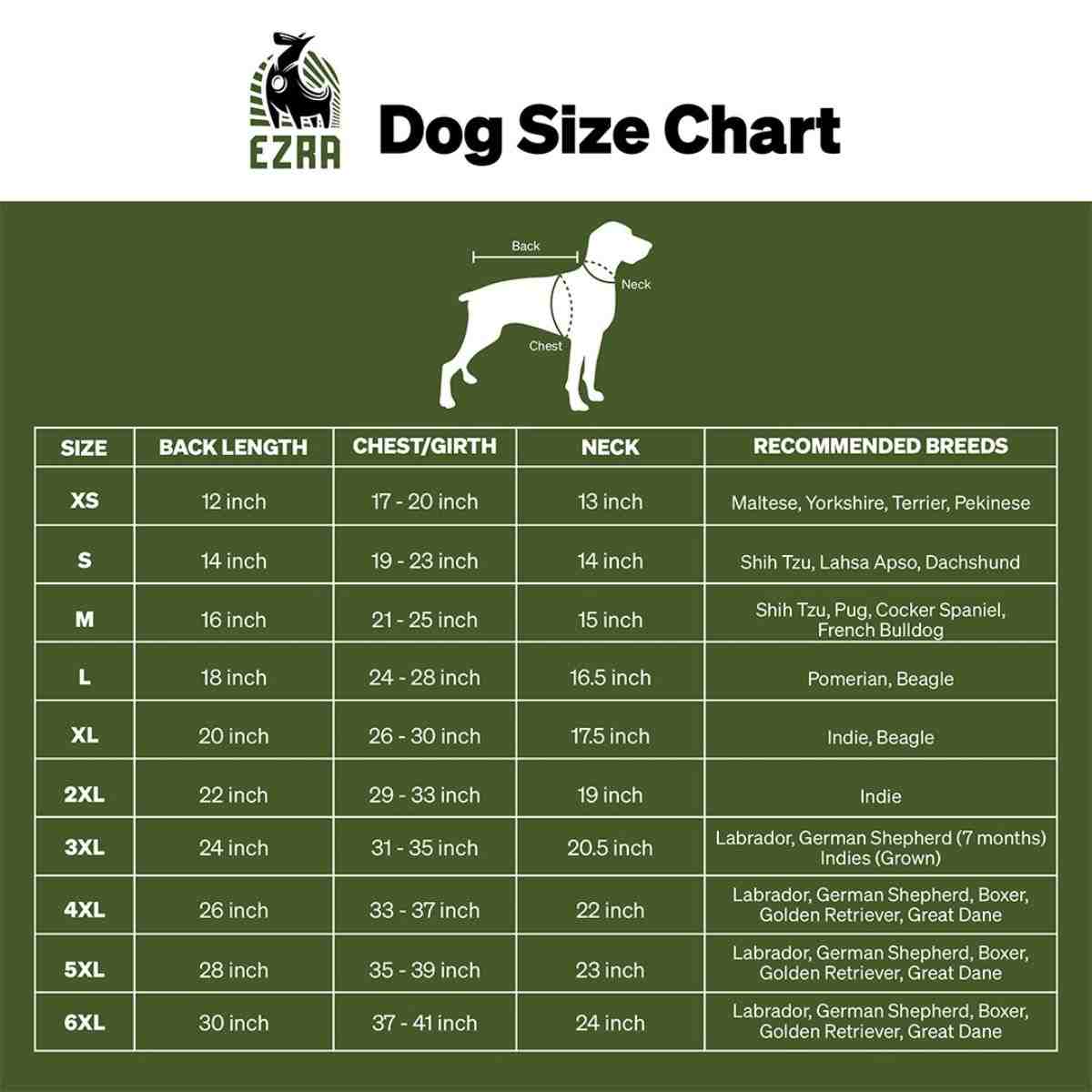 Ezra Fur Winter Jacket for Dogs, Cozy, Ultra Warm, and Water Resistant with Velcro Closure (Red)