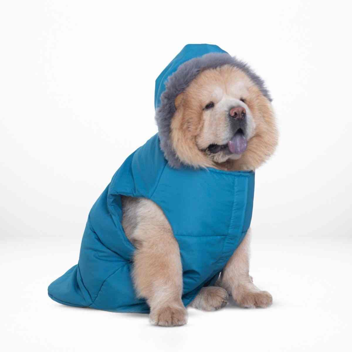 Ezra Fur Winter Jacket for Dogs, Cozy, Ultra Warm, and Water Resistant with Velcro Closure (Blue)