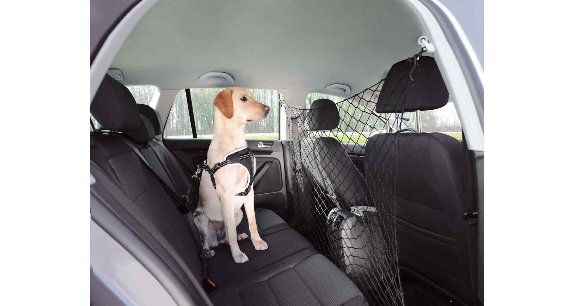 Trixie Car Net for Dog, 120 × 100 cm (Black)