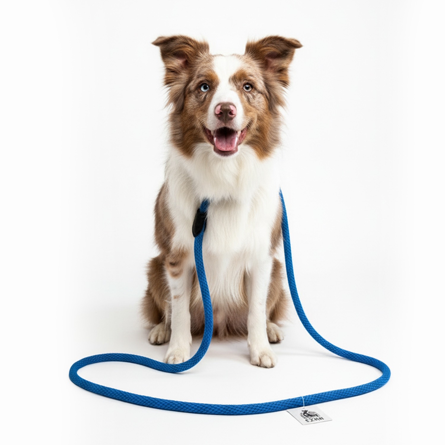 Ezra Soft Rope Dog Choke Lead – Aqua Blue (140 cm)