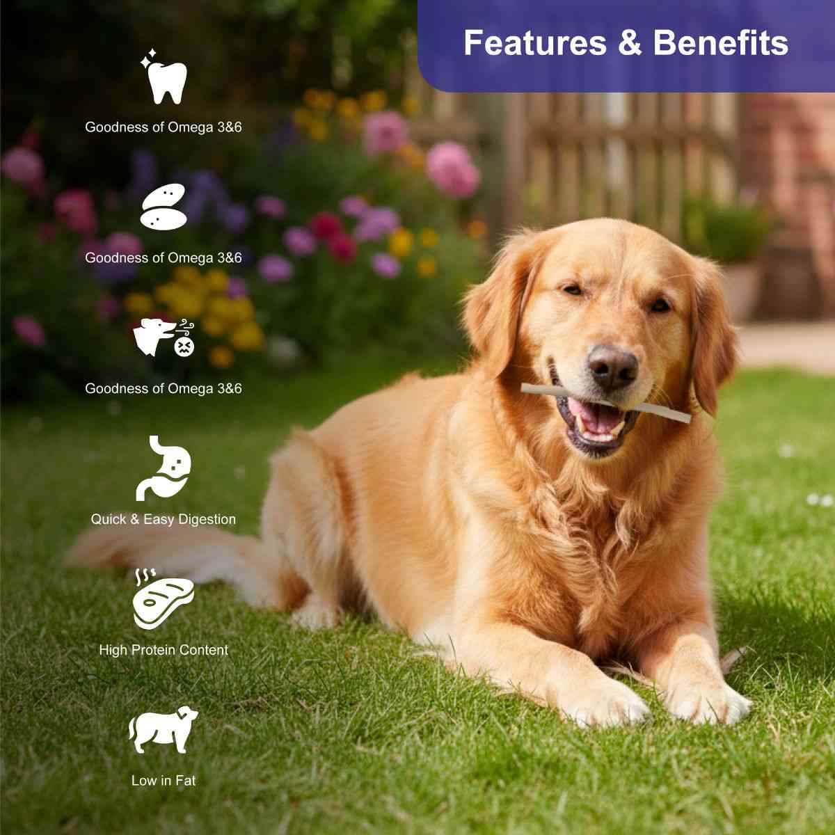 Snackers Non Rawhide Chews Chewy Roll White for Dogs, 225 g