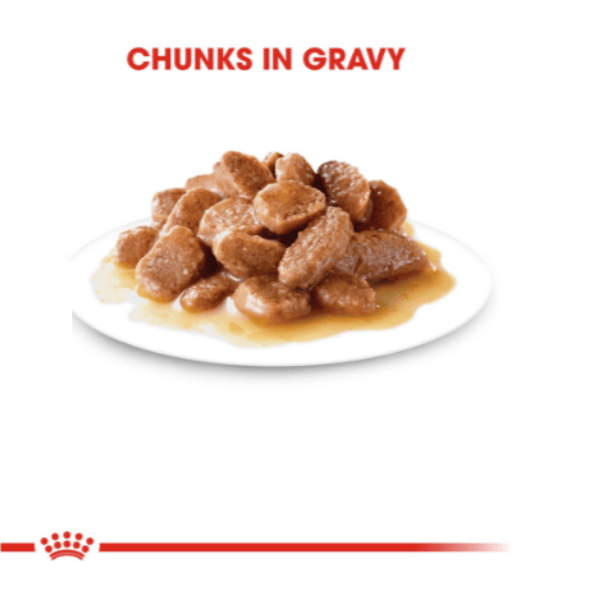 Royal Canin Instinctive Adult Gravy Cat Wet Food - 85 g